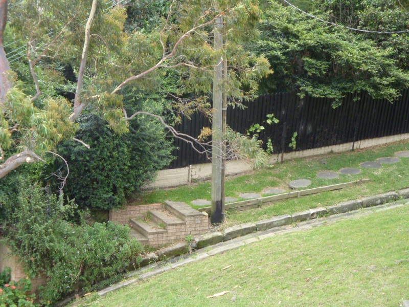 Parklands and trees in East Balmain